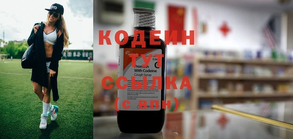 apvp Гусиноозёрск