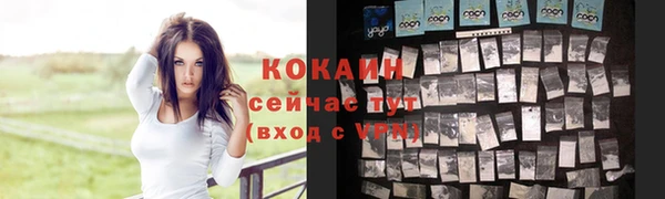 каннабис Гусев
