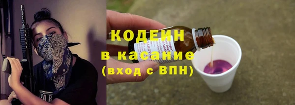 2c-b Горнозаводск