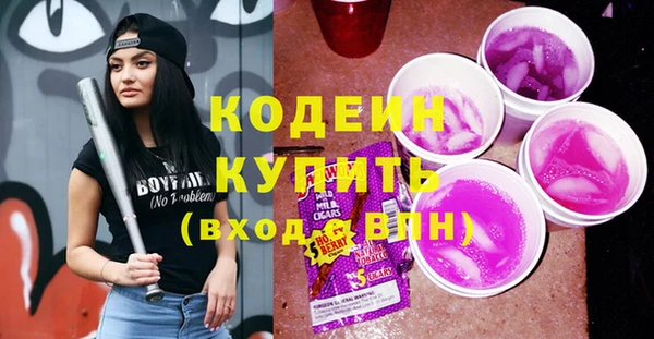 apvp Гусиноозёрск