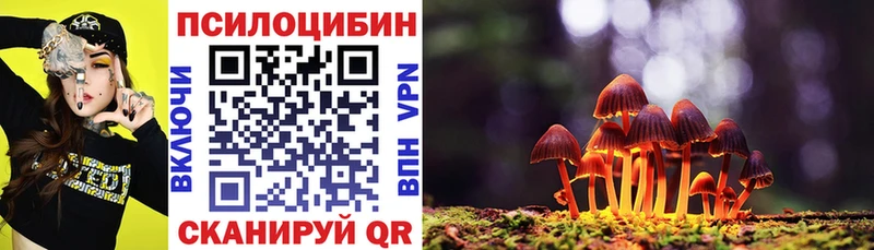 Галлюциногенные грибы Psilocybe  Тайшет 